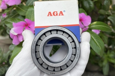 Vòng bi AGA chính hãng tại Chợ Quán, TPHCM